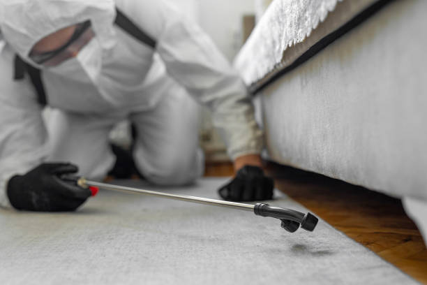 Professional Bed Bug Control technician working in Lorenzo, TX